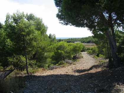 Sea views